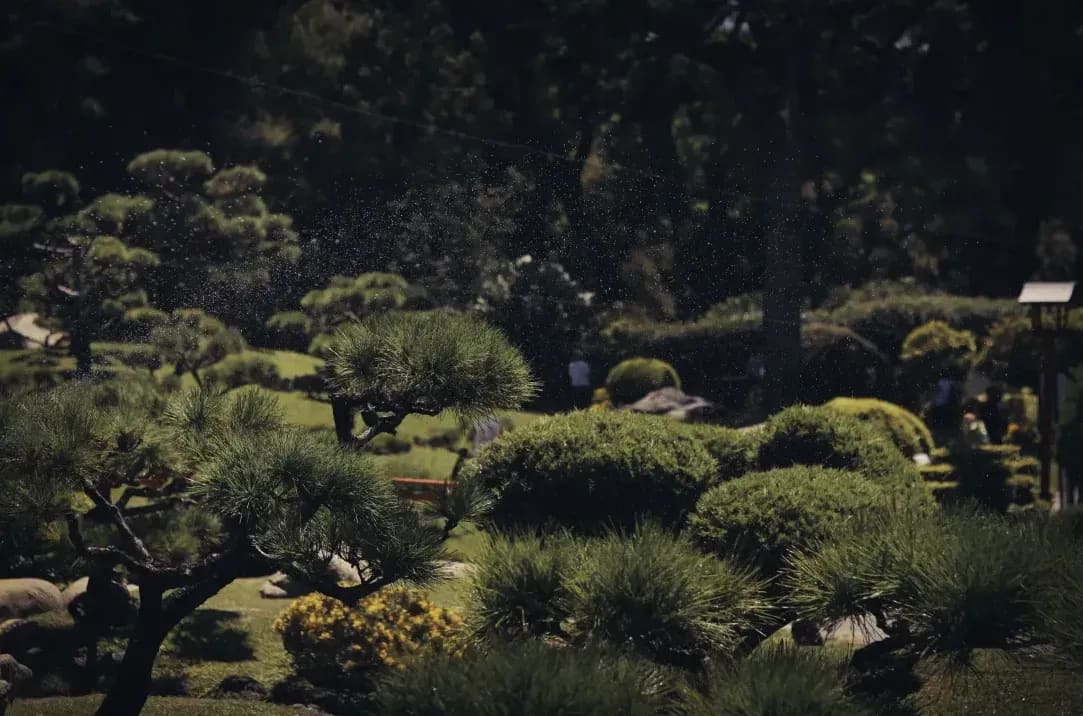 Maple Grove Gardens 11