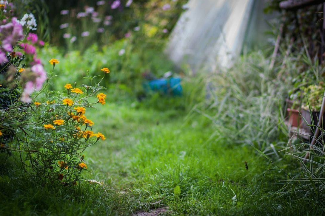 Seasonal garden bed maintenance